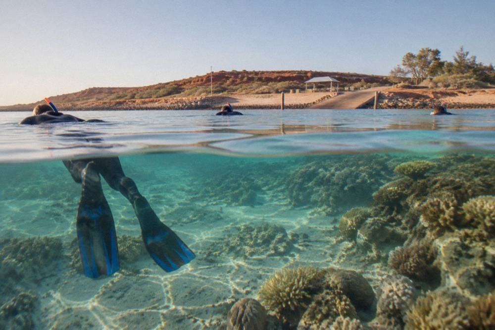 Snorkellers floating at the surface above a sandy lagoon fringed by coral