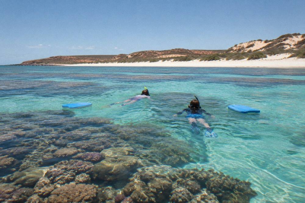 Snorkellers floating over colourful coral in shallow clear water at Turquoise Bay