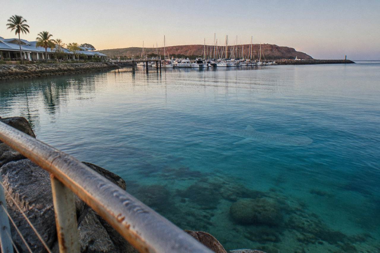 Calm turquoise water over Ningaloo Reef with a distant whale shark near the surface