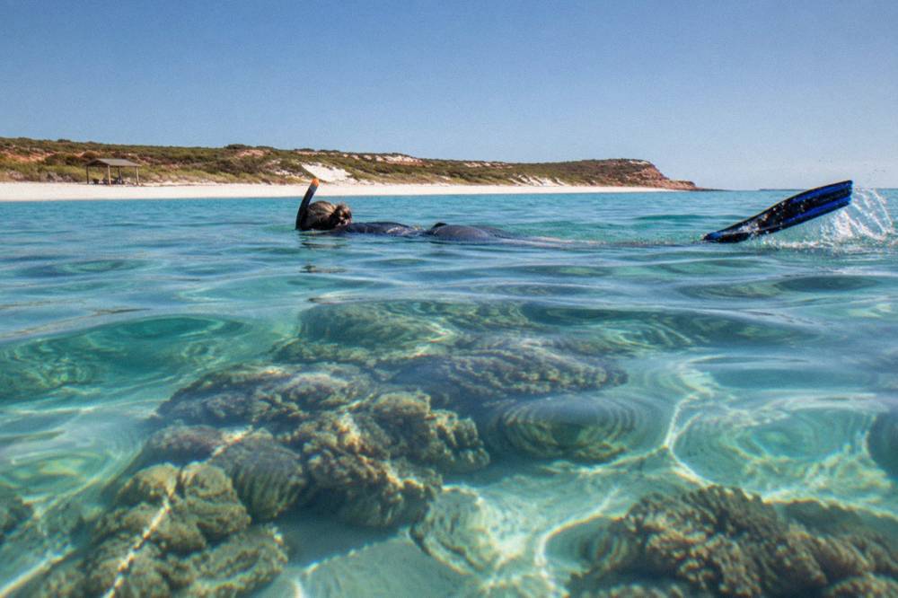 Snorkeller floating over coral bommies in clear shallow reef water