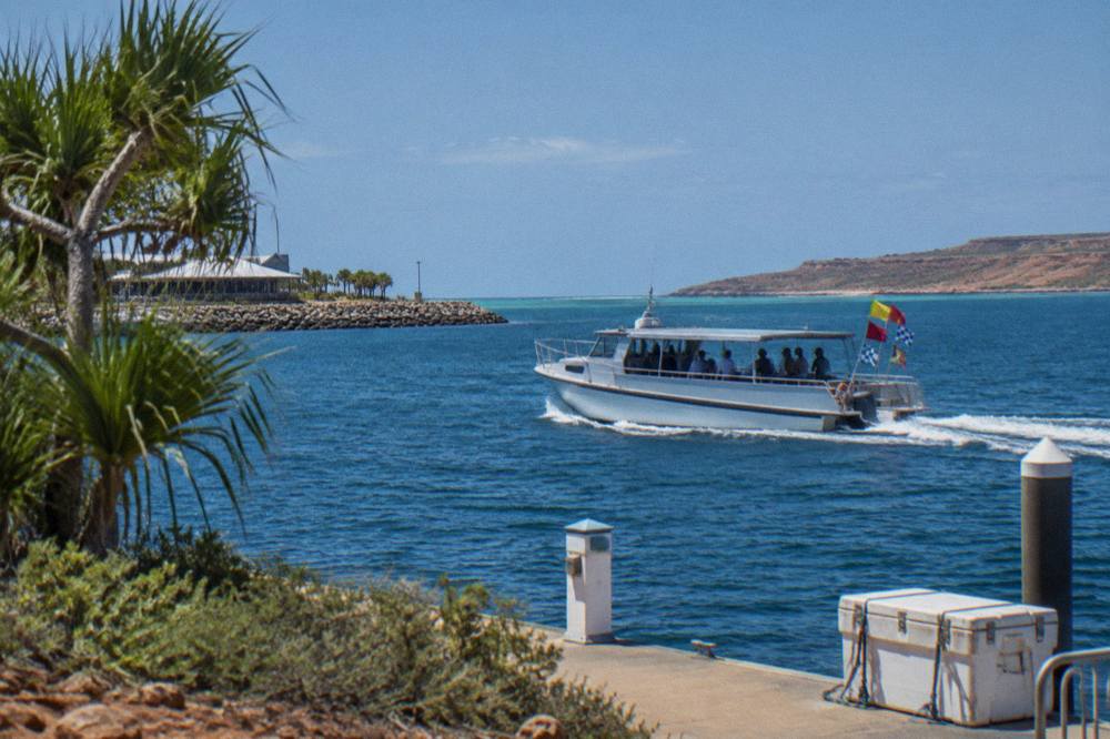 A licensed tour boat flying signal flags on open blue water beyond the Ningaloo Reef