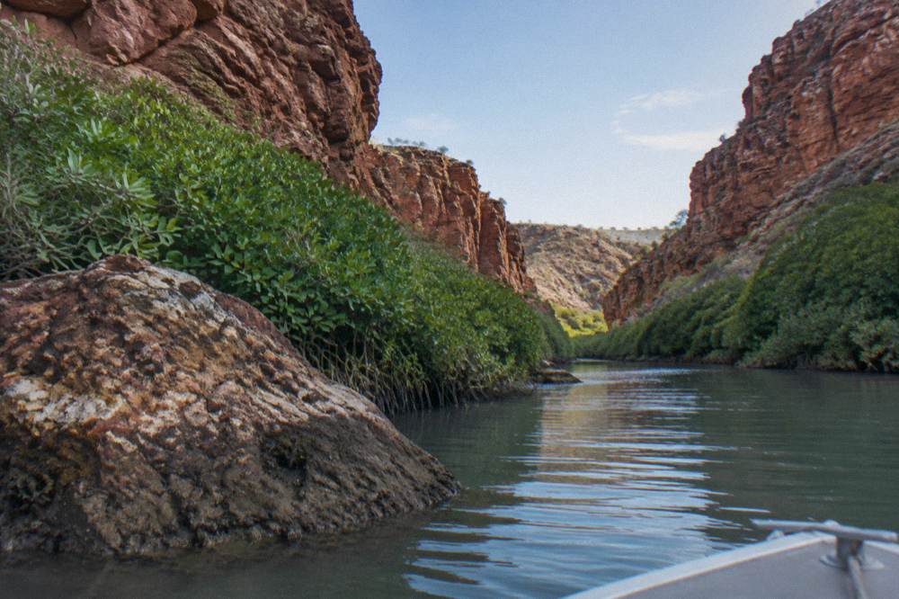 Red rock gorge walls rising above a narrow creek lined with mangroves