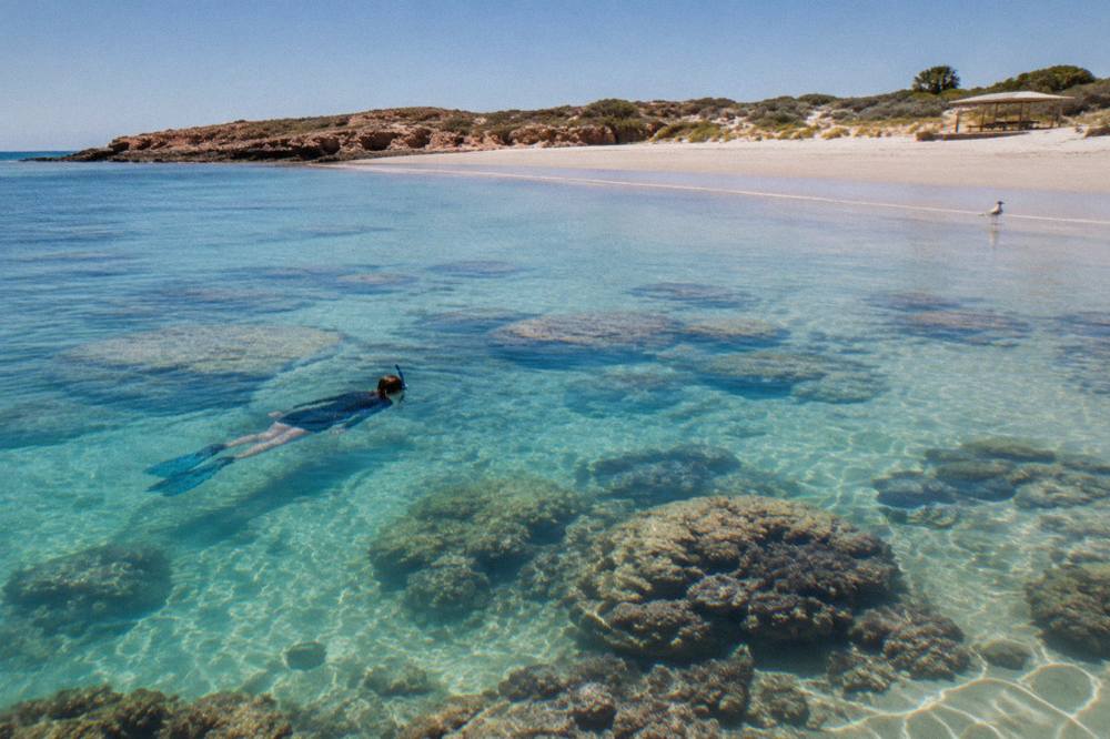 Snorkeller finning over shallow coral bommies in clear blue water at Ningaloo Reef