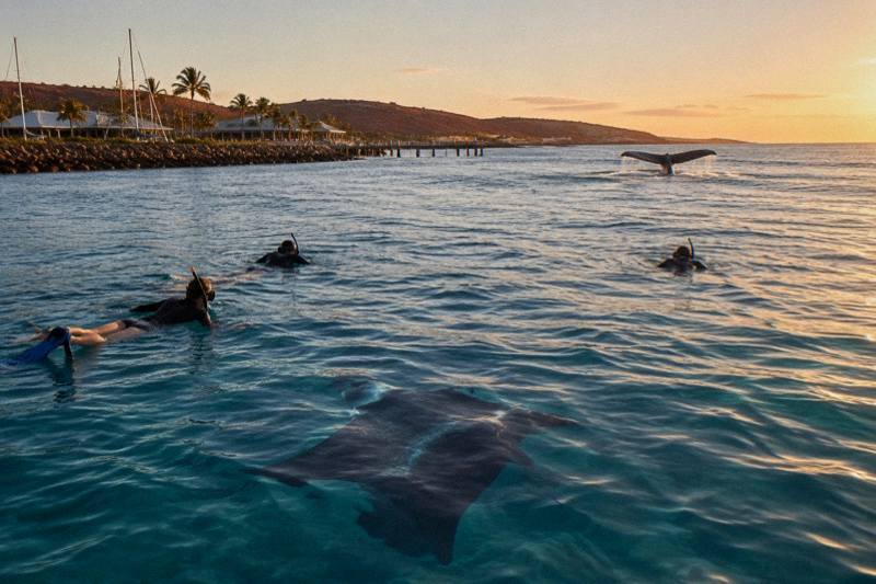 Humpback whale fluke and a manta ray off the Ningaloo coast
