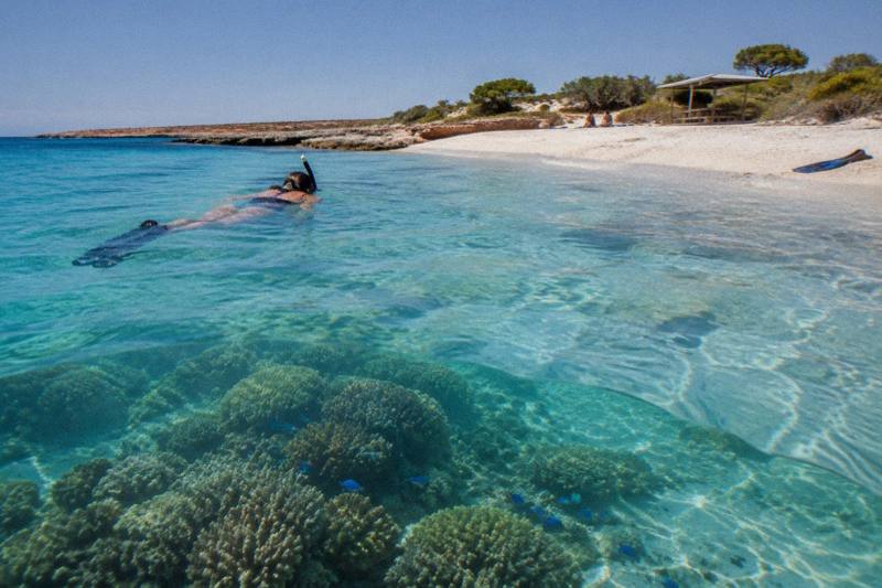 Snorkeller over shallow coral at Ningaloo Reef