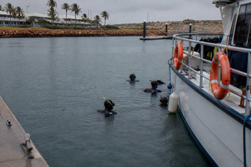 Snorkellers in wetsuits resting on the surface beside a boat at Ningaloo