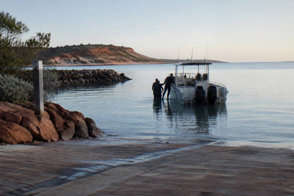 A small group of snorkellers in wetsuits preparing to enter the water from a boat