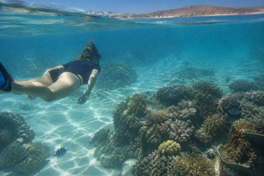 A snorkeller floating over coral in clear shallow water above pale sand