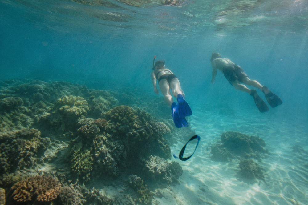 Snorkellers in the water beside a coral bommie in clear Ningaloo lagoon water