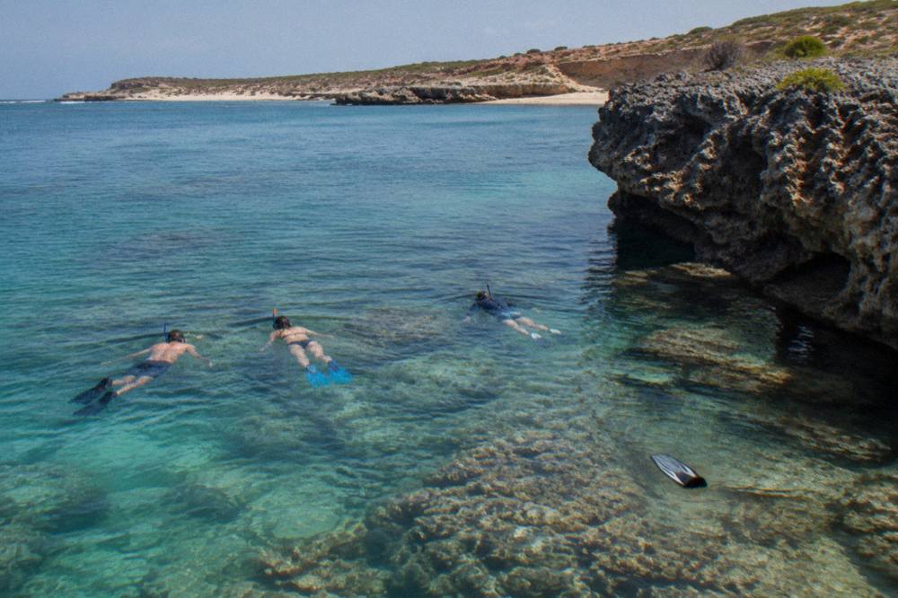 Snorkellers floating over shallow coral in clear turquoise lagoon water at Ningaloo Reef