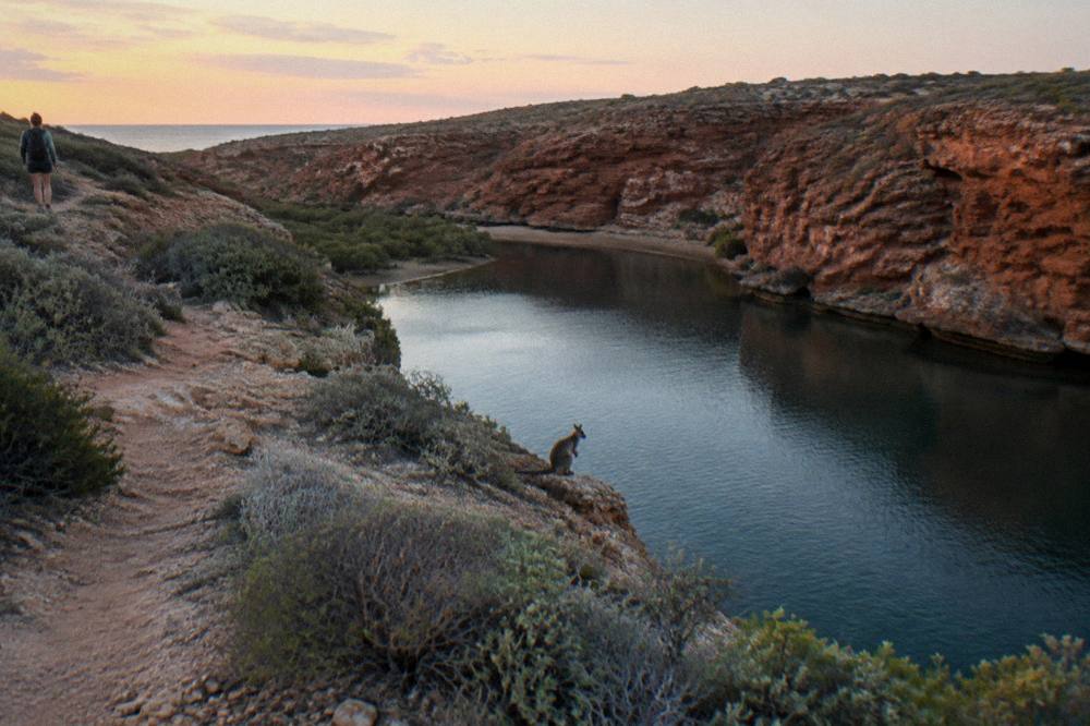 Sunset light over calm water and low Cape Range hills near Exmouth