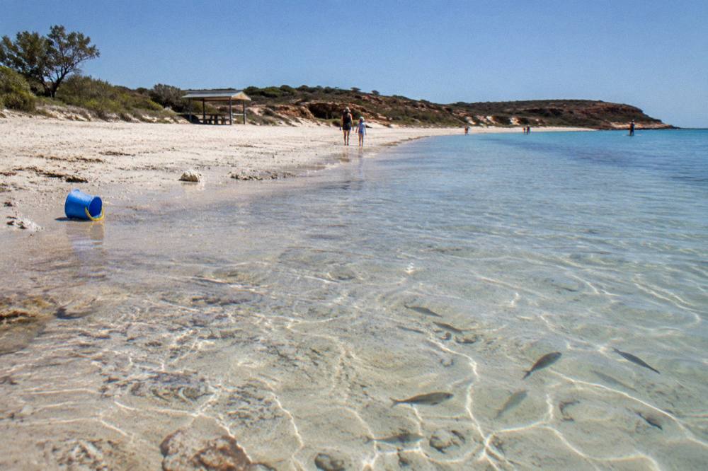 Calm sheltered beach with shallow clear water over coral at Coral Bay