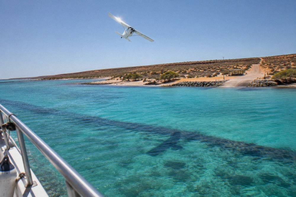 A light spotter aircraft banking over turquoise reef water