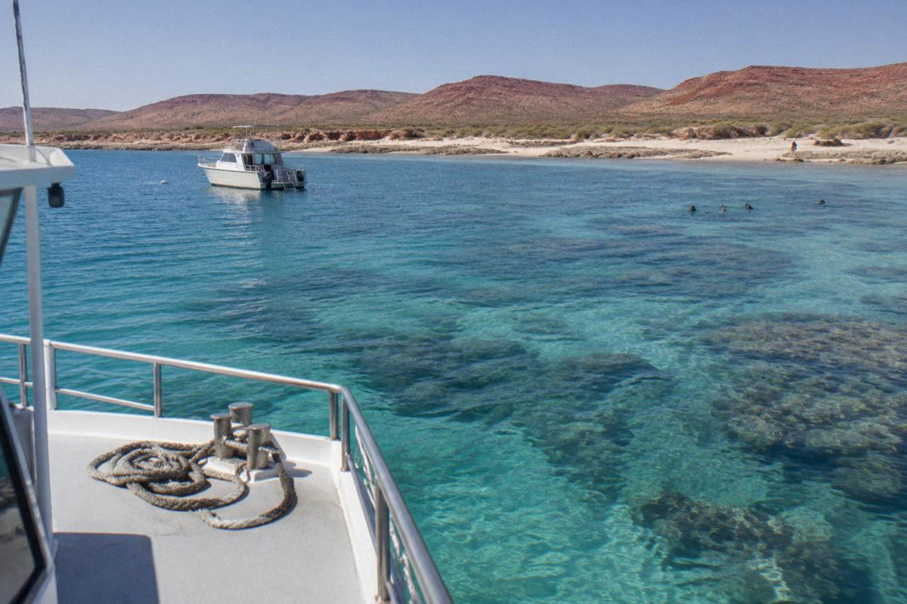 A dive boat moored over pale coral reef in clear turquoise water at Ningaloo