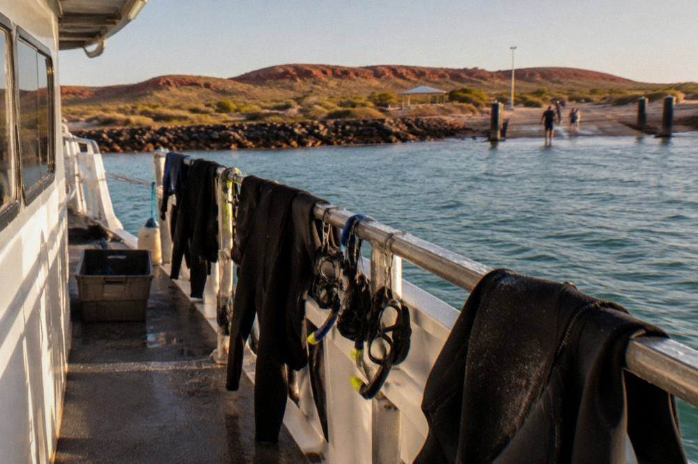 Wetsuits and snorkel gear drying on the deck of a tour boat