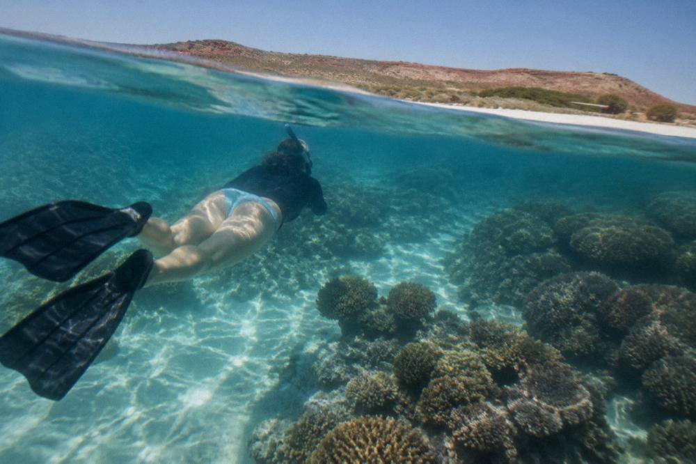 Snorkeller floating over coral bommies in clear shallow water near a sandy beach
