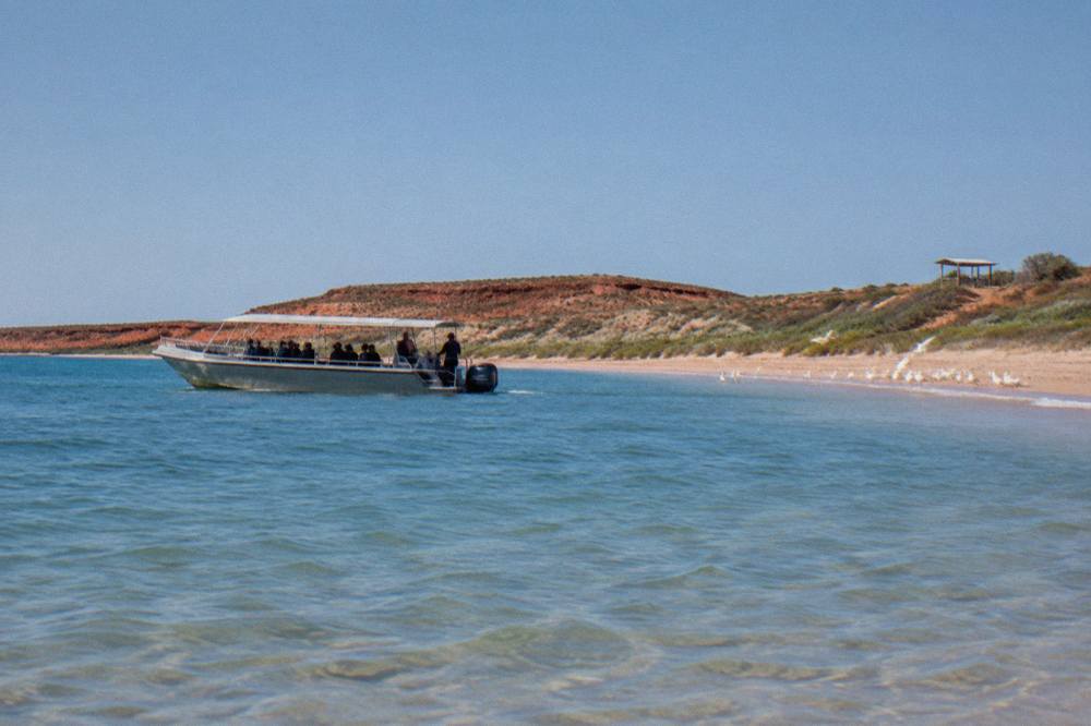 A whale shark tour boat crossing calm open water outside Ningaloo Reef under a clear sky