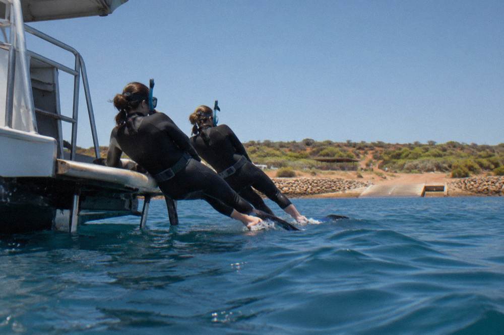 Snorkelers in wetsuits entering the water from a boat's rear platform at Ningaloo Reef