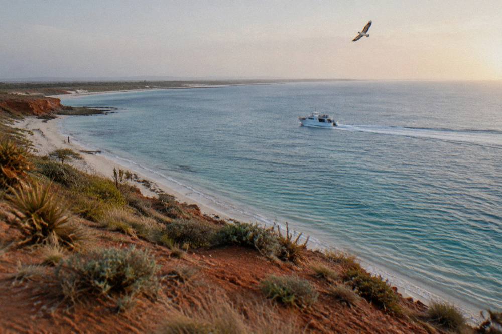 A whale shark tour boat cruising along the Ningaloo coastline in morning light