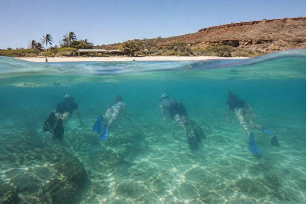 Snorkellers floating in a line above a sandy lagoon floor