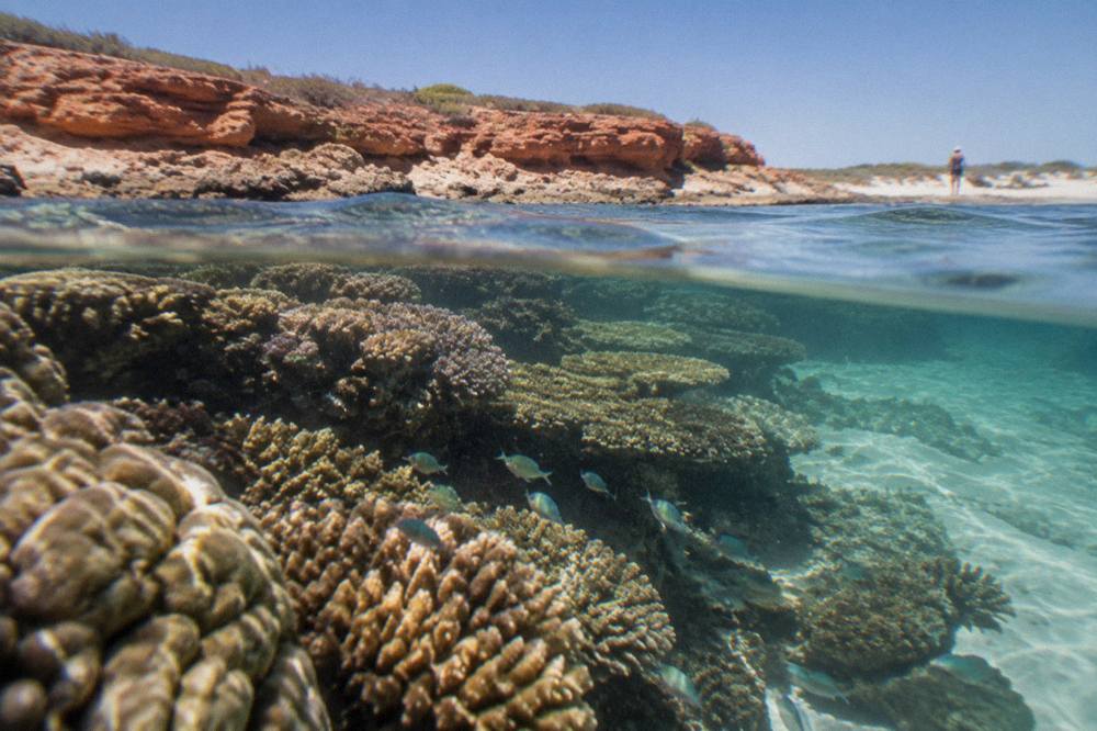 Clear shallow water over coral formations inside a reef lagoon