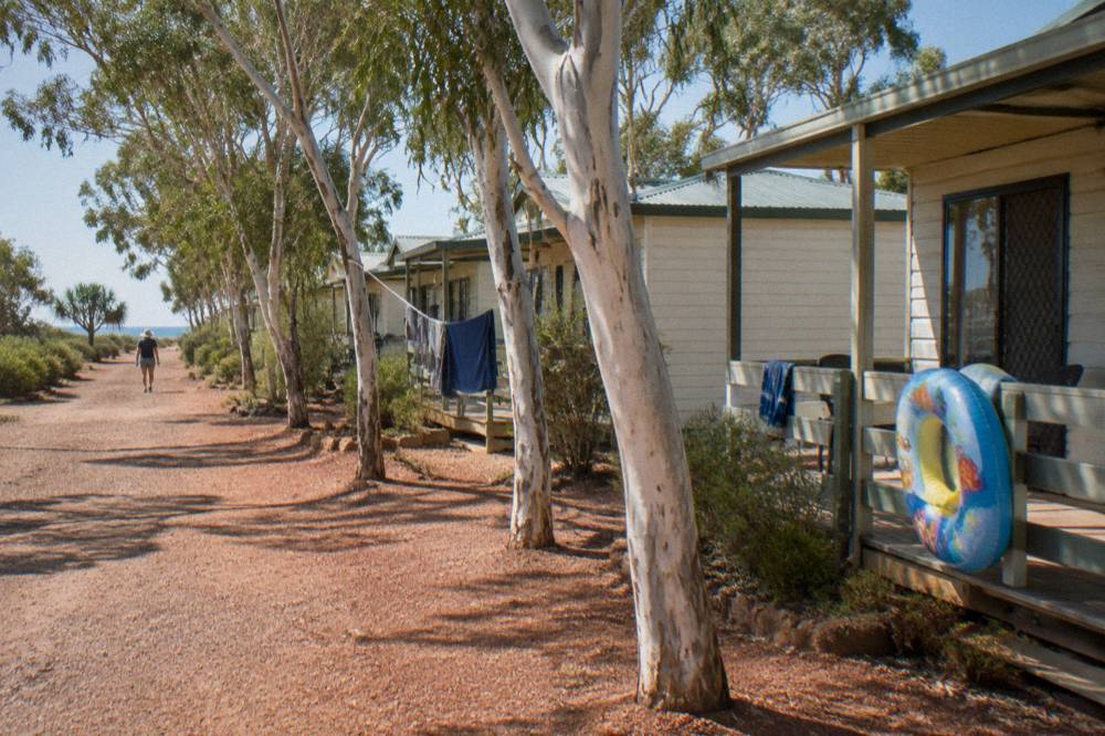 Campground cabins and gum trees under a wide blue sky in a holiday park