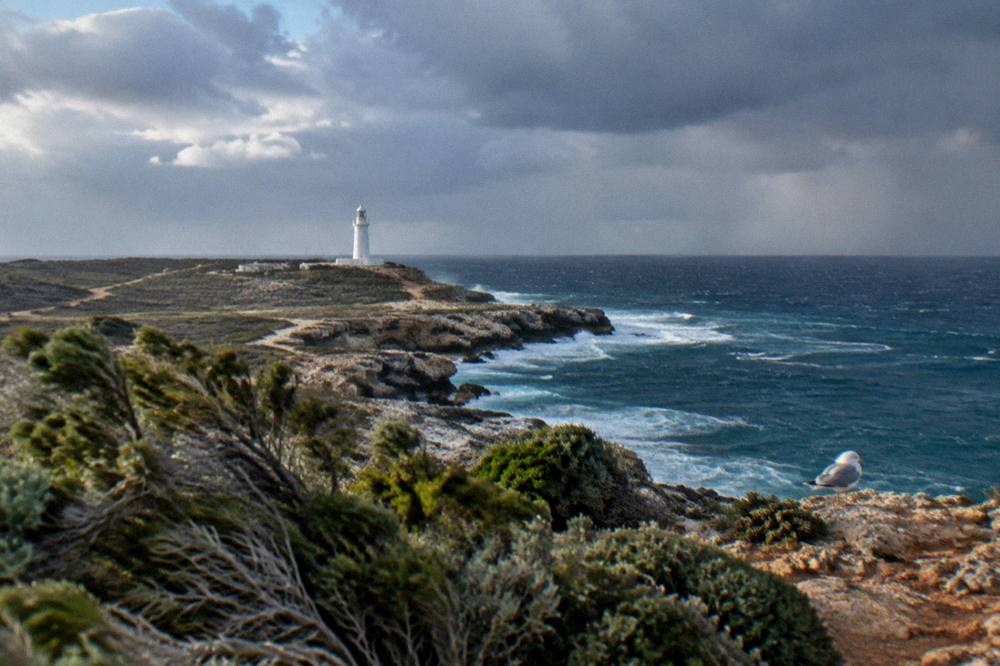 Coastal scrub and low cliffs at Vlamingh Head with the historic lighthouse in the distance