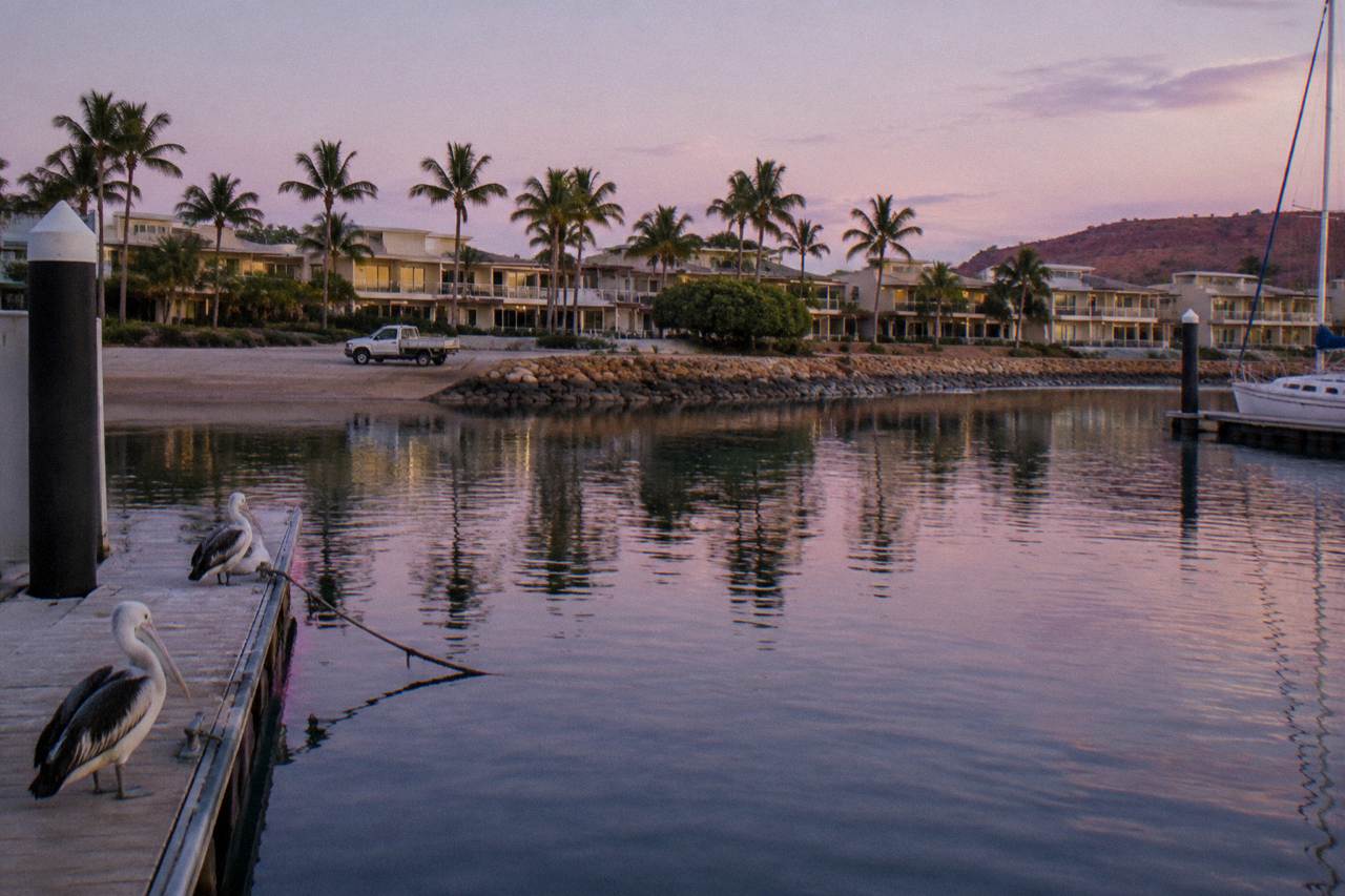 Exmouth town at dusk with the marina water calm and low buildings among palm trees